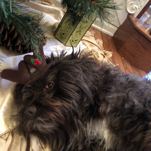 Meet your Posher, Debbie❣️💕🤗😊🍷😍☃️ - Picture 5 of 8